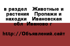  в раздел : Животные и растения » Пропажи и находки . Ивановская обл.,Иваново г.